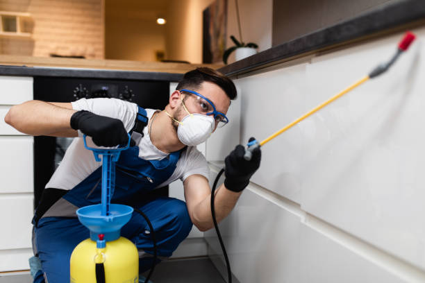 Best Exterminator Services  in Jerome, IL