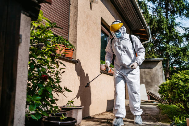 Best Mosquito Control Services  in Jerome, IL