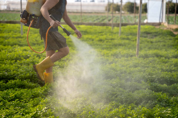 Best Affordable Pest Control Services  in Jerome, IL