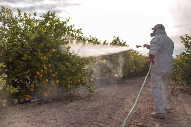Best Cockroach Control Services  in Jerome, IL