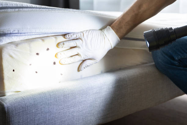 Best Residential Pest Control  in Jerome, IL