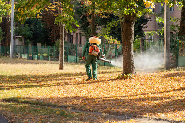 Best Cockroach Control Services  in Jerome, IL