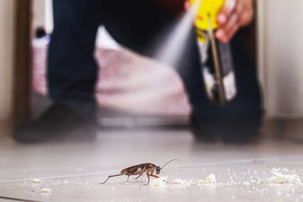 Best Affordable Pest Control Services  in Jerome, IL