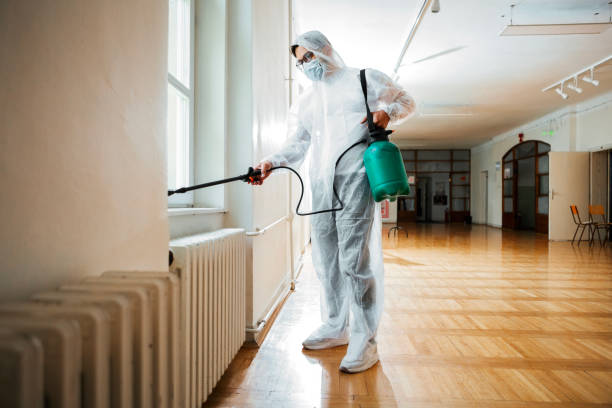 Best Insect Control  in Jerome, IL