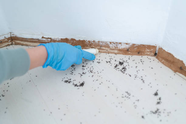 Best Residential Pest Control  in Jerome, IL