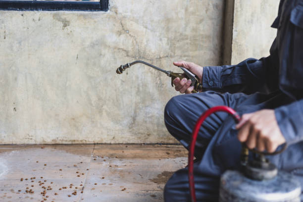 Best Termite Control Services  in Jerome, IL